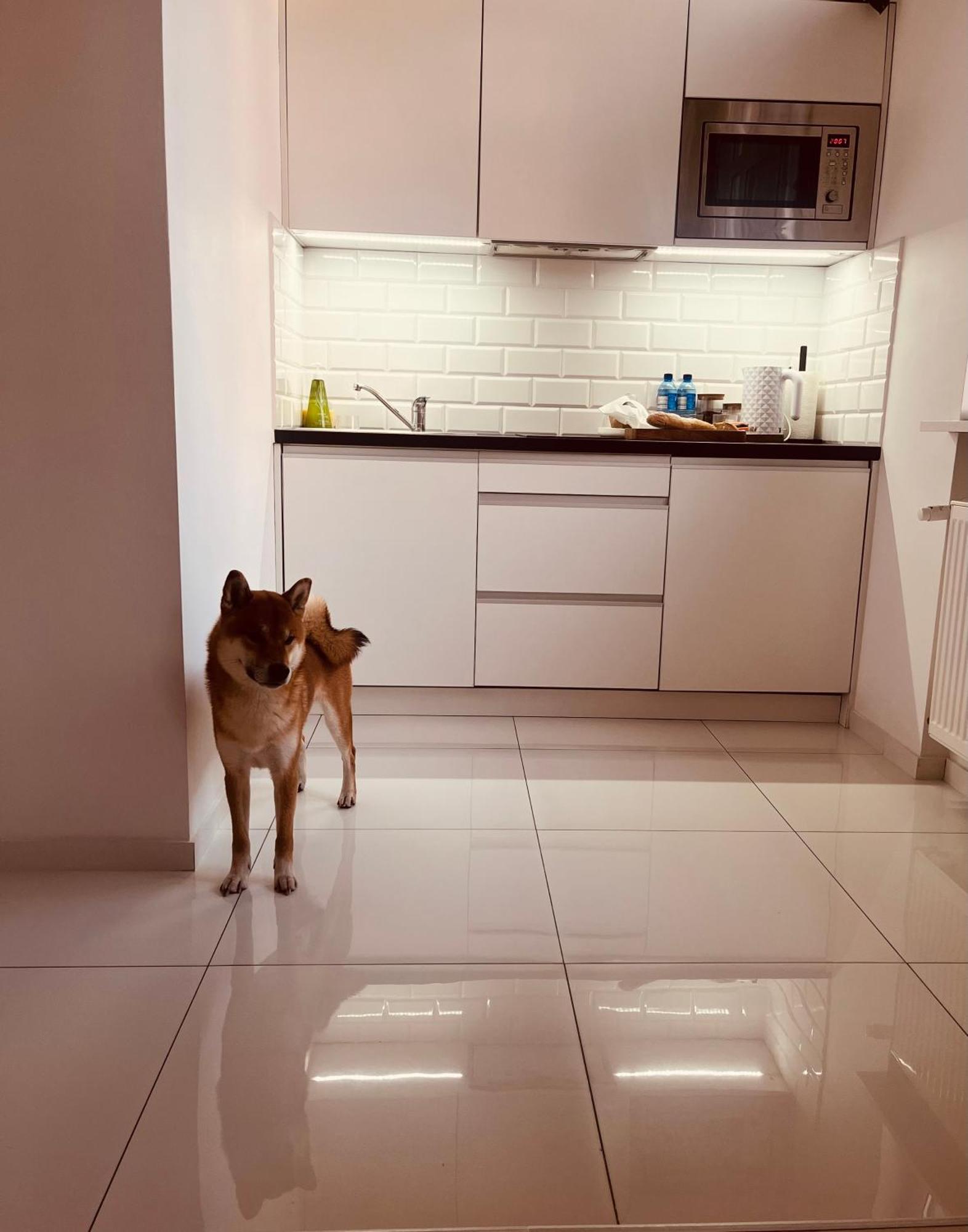 Apartament I Love Piotrkowska Z Wielkim Lustrem, Balkonem I Klimatyzacja Lodz  Luaran gambar