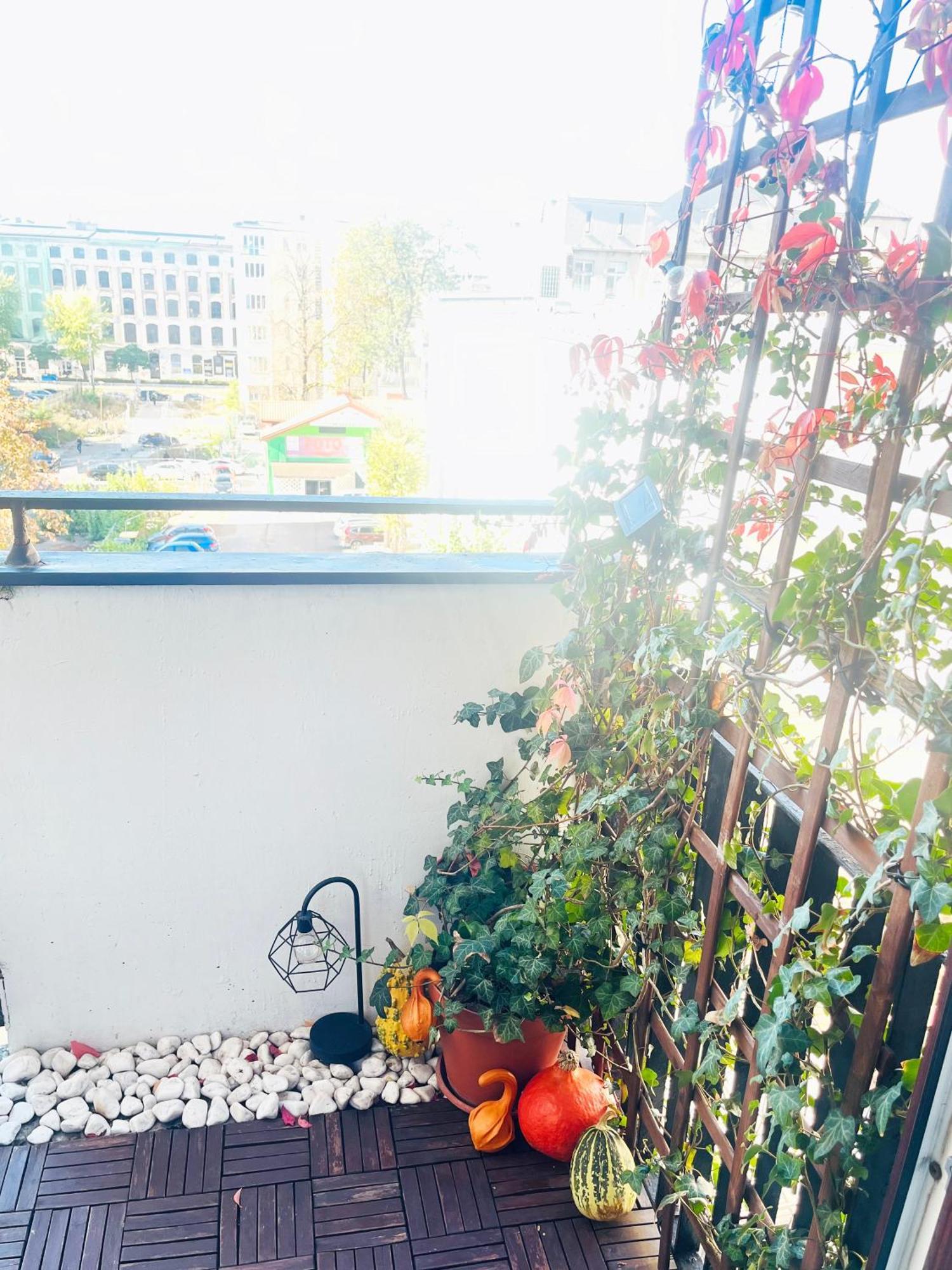 Apartament I Love Piotrkowska Z Wielkim Lustrem, Balkonem I Klimatyzacja Lodz  Luaran gambar
